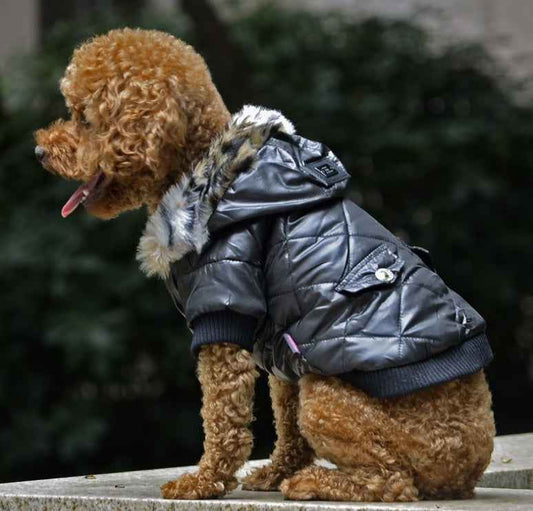 Dog Coat - Autumn Winter Fur Collar - Amanluxe