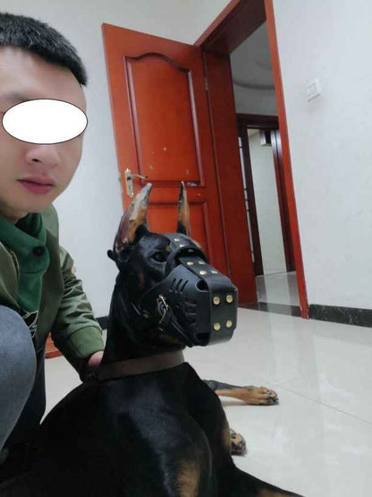 Cowhide Dog Muzzle - Medium Large Dogs - Amanluxe