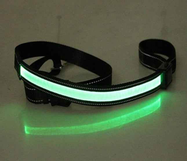 Fluorescent Dog Collar - Safety Glow - Amanluxe