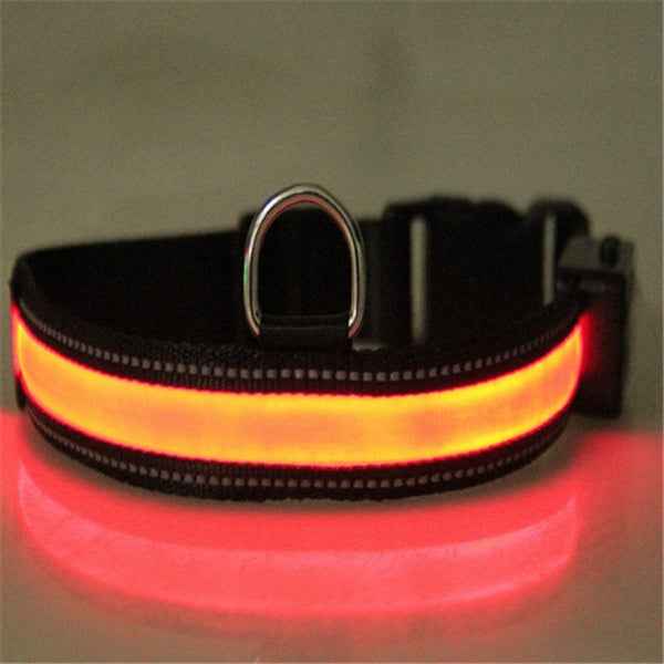 Fluorescent Dog Collar - Safety Glow - Amanluxe