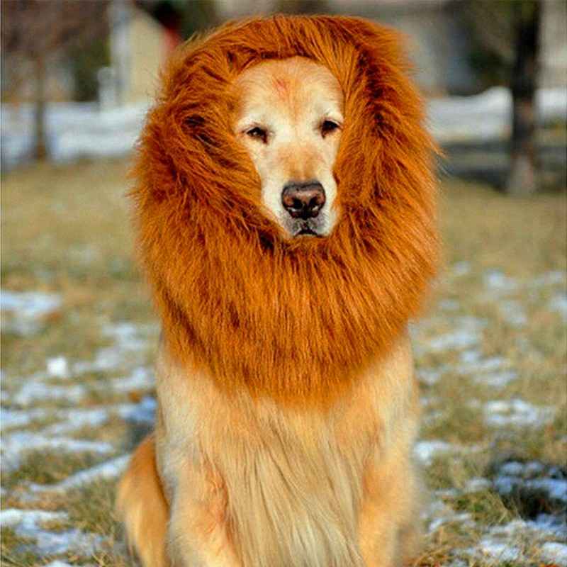 Lion Mane Wig for Dogs - Costume - Amanluxe