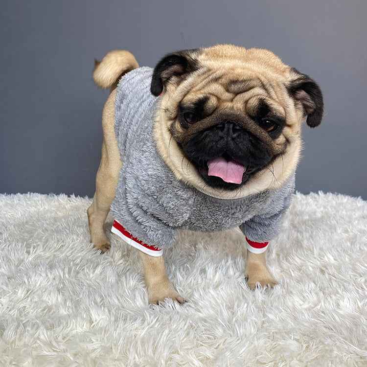 Pet Sweater - Cotton Casual - Amanluxe