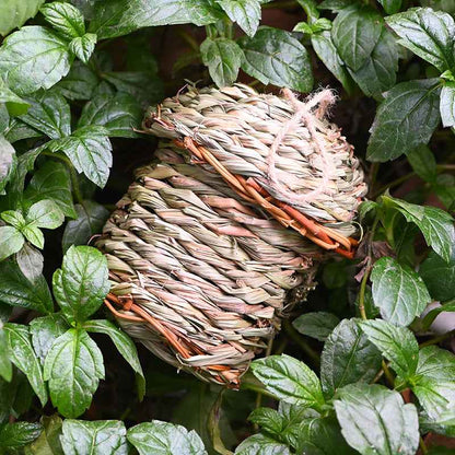 Outdoor Bird House Nest - Tree Mounted - Amanluxe