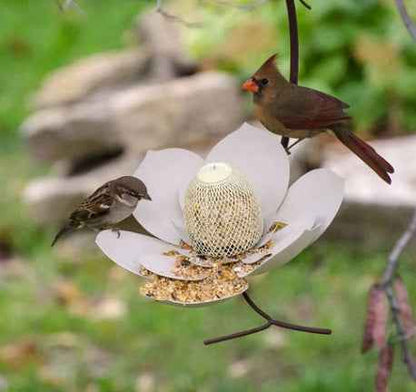 Petal Shape Bird Feeder - Wire Garden - Amanluxe