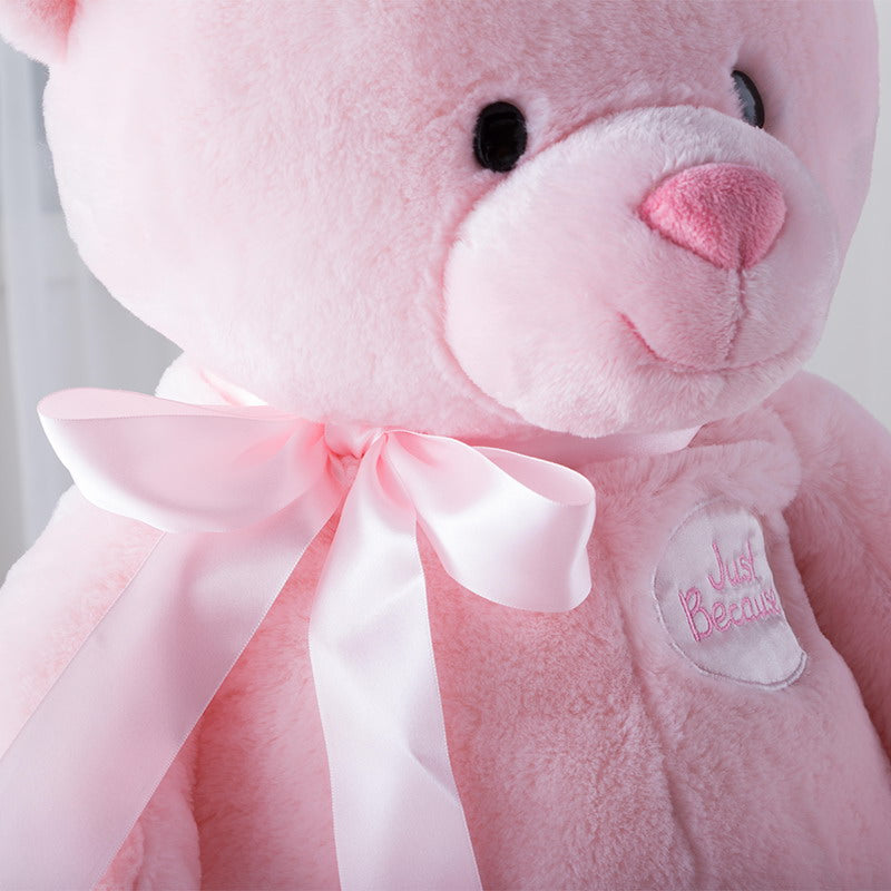 Cute Girl Teddy Bear Doll Hug Bear Doll Pillow