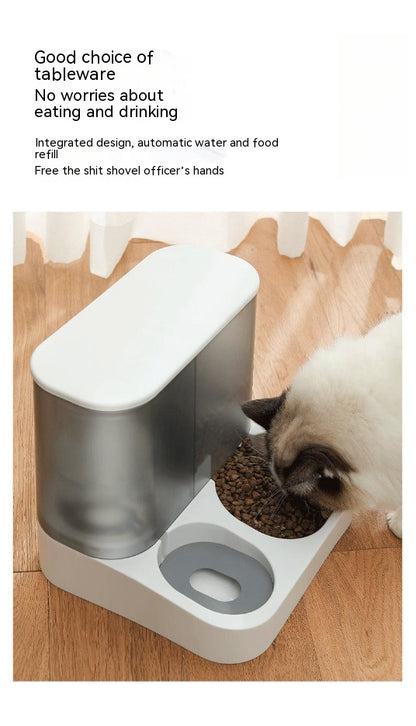 Automatic Pet Feeder - Visual Cat Bowl - Amanluxe