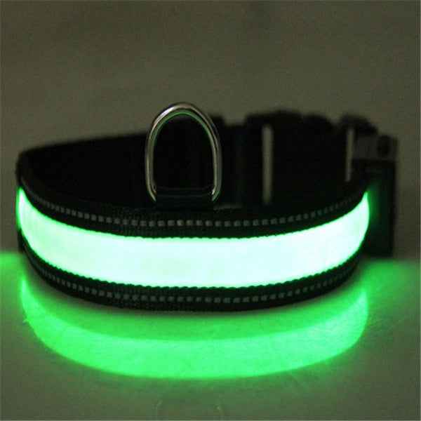 Fluorescent Dog Collar - Safety Glow - Amanluxe