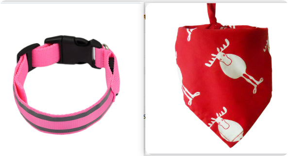 Anti-lost Led Luminous Dog Collar Pet Supplies