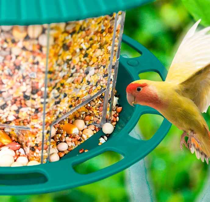 Parrot Cage with Feeder & Breeding Box - Amanluxe