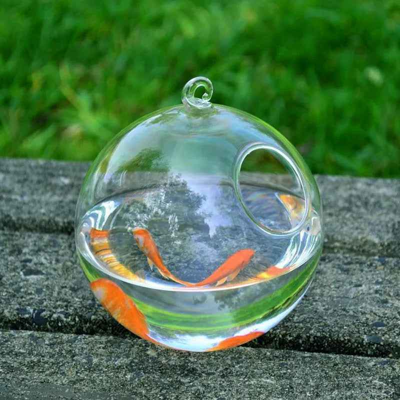 Hanging Glass Vase Fish Tank - Mini Aquarium - Amanluxe