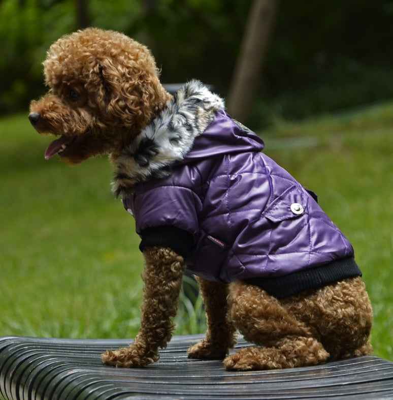 Dog Coat - Autumn Winter Fur Collar - Amanluxe