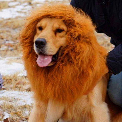 Lion Mane Wig for Dogs - Costume - Amanluxe