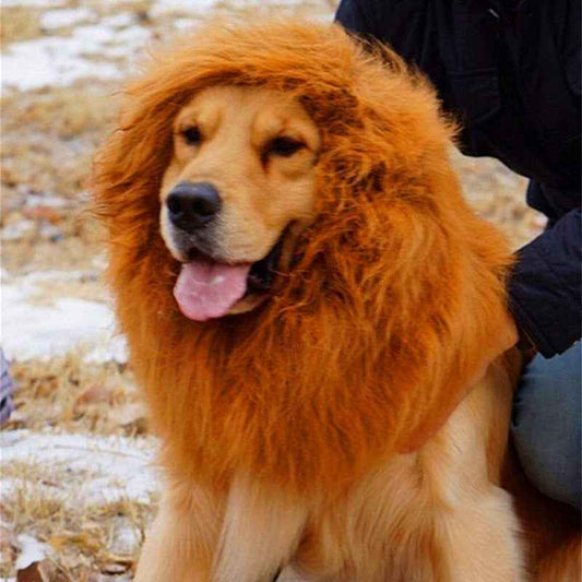 Lion Mane Wig for Dogs - Costume - Amanluxe