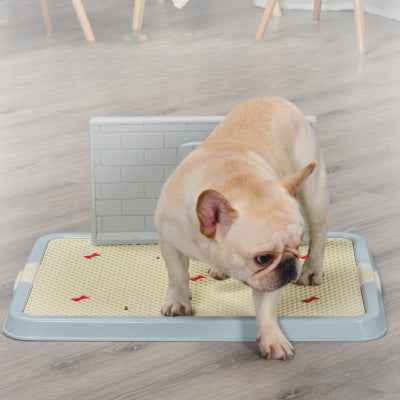 Dog Toilet Training Tray - Indoor Potty - Amanluxe