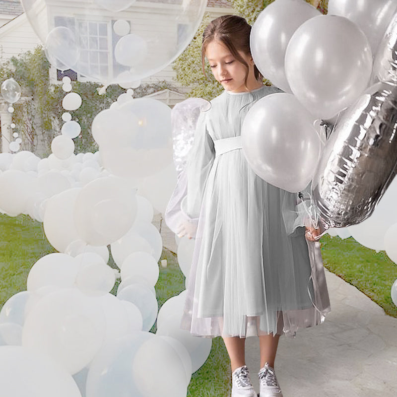 Fairy Long Sleeve Mesh Dress