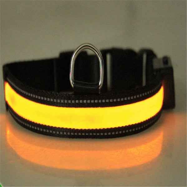 Fluorescent Dog Collar - Safety Glow - Amanluxe