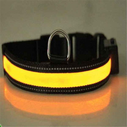 Fluorescent Dog Collar - Safety Glow - Amanluxe