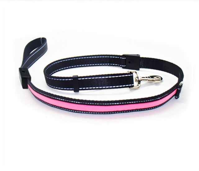 Fluorescent Dog Collar - Safety Glow - Amanluxe