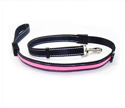 Fluorescent Dog Collar - Safety Glow - Amanluxe
