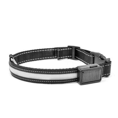 Fluorescent Dog Collar - Safety Glow - Amanluxe