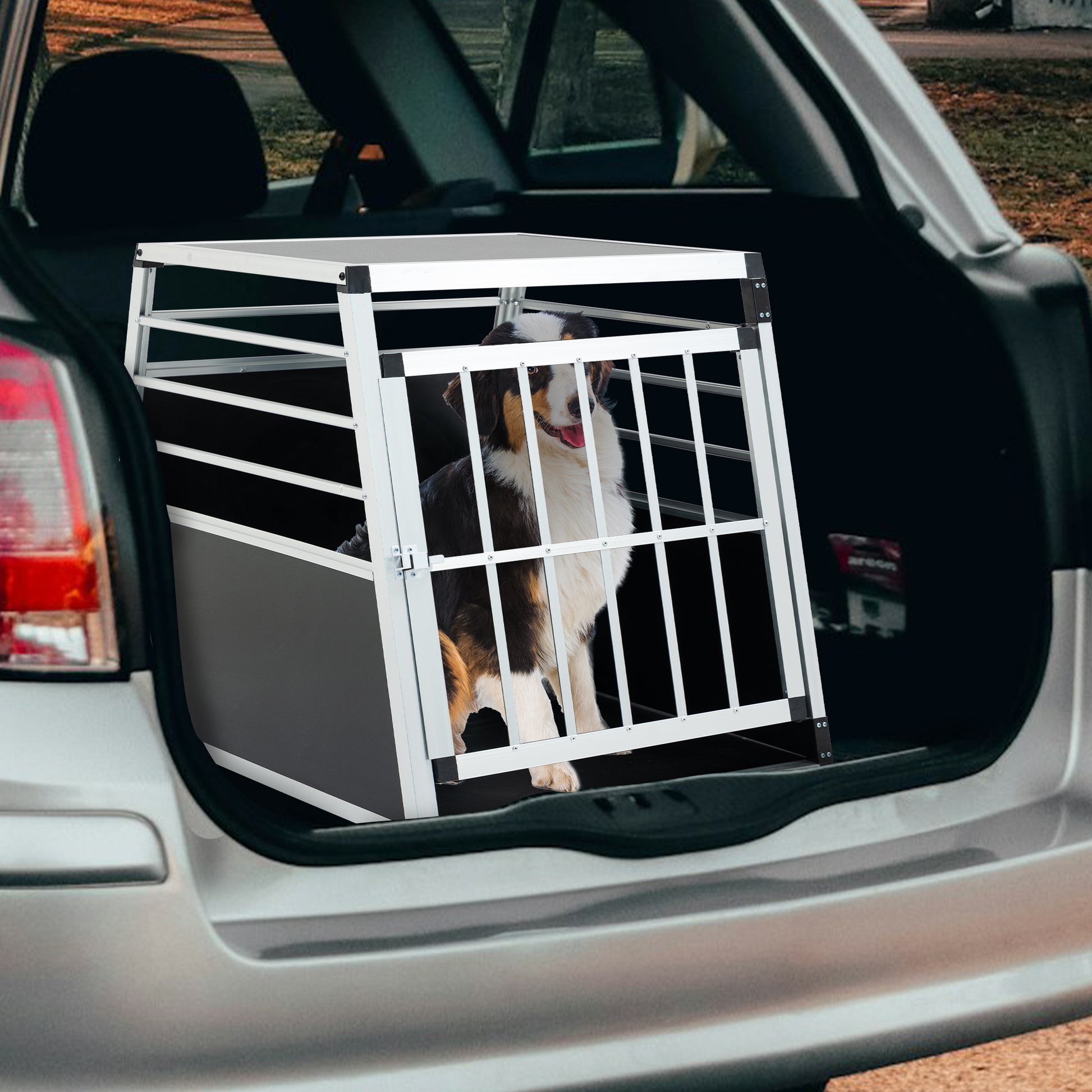 Aluminum Transport Case,  Aluminum Car Carrier, Travel Carrier, Suitable For Cats And Dogs, Black And Silver. - Amanluxe