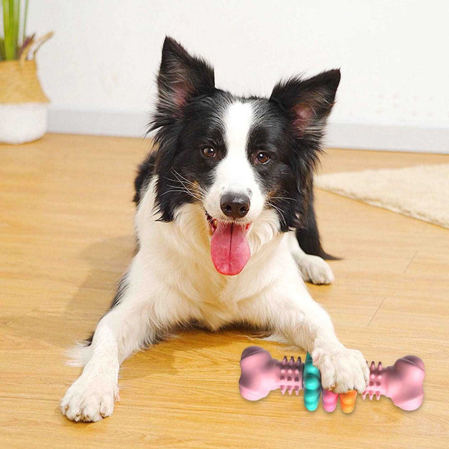 Indestructible Dog Chew Bone | Teeth-Cleaning TPR Chew Toy for Dogs - Amanluxe