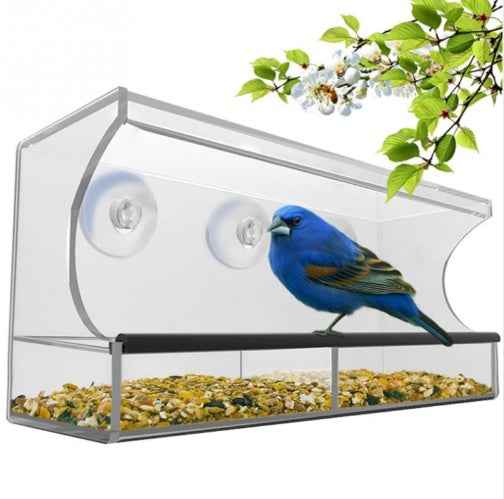 Acrylic Bird Feeder - Clear Design - Amanluxe