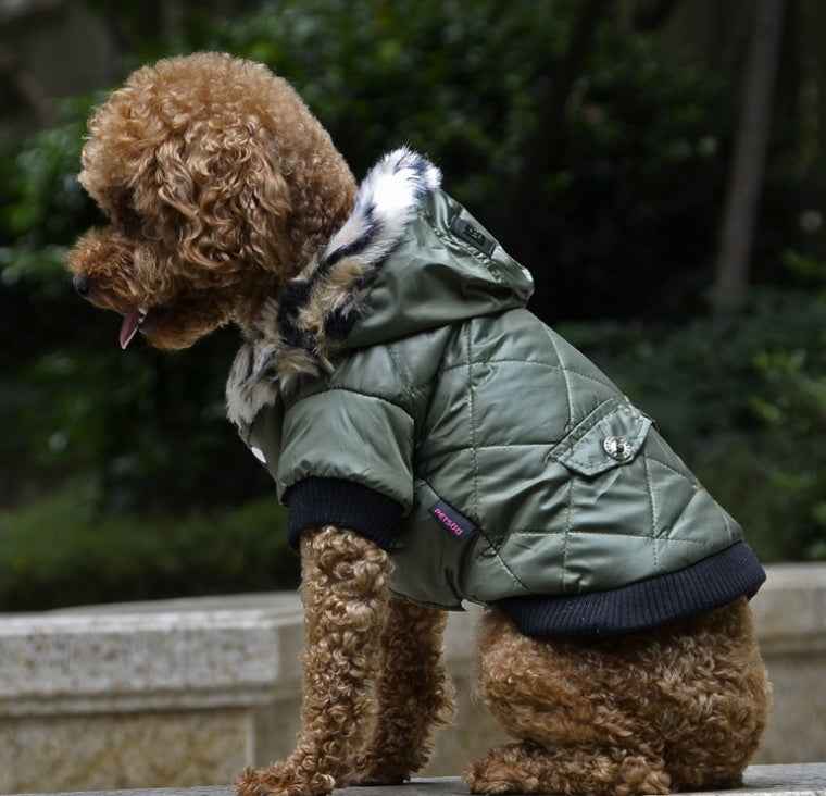 Dog Coat - Autumn Winter Fur Collar - Amanluxe