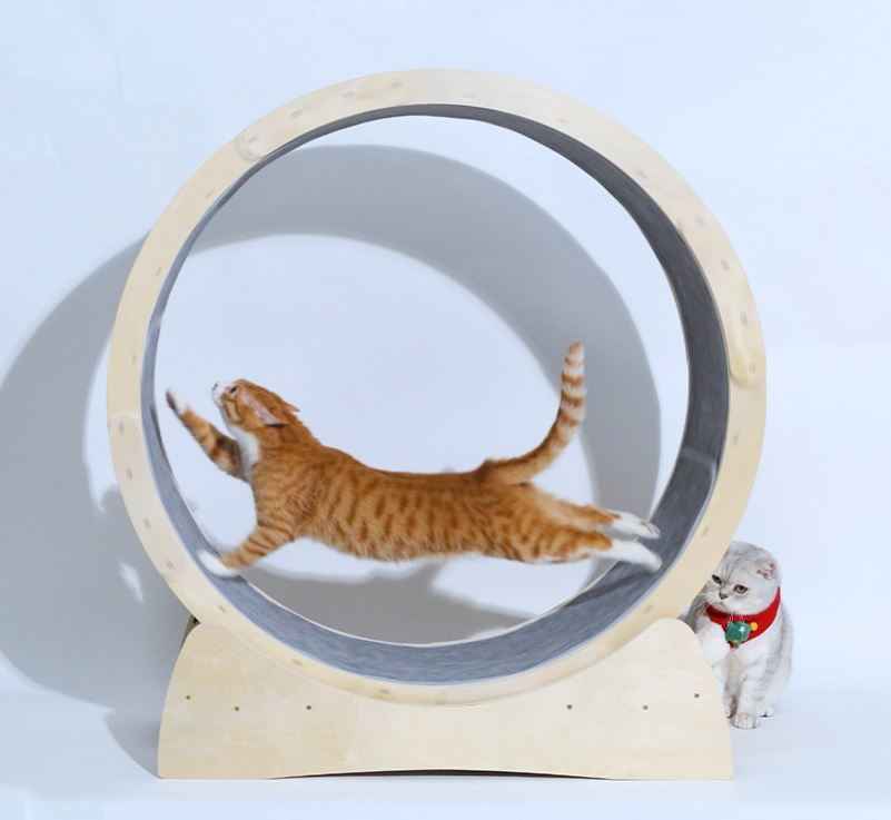 Cat Treadmill Roller - Interactive Exercise Toy - Amanluxe