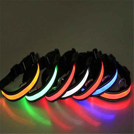 Fluorescent Dog Collar - Safety Glow - Amanluxe