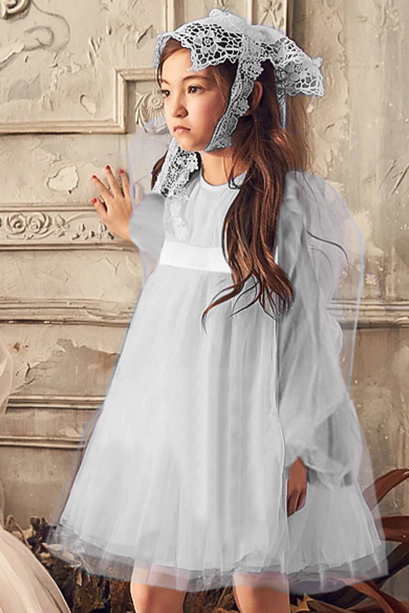 Fairy Long Sleeve Mesh Dress