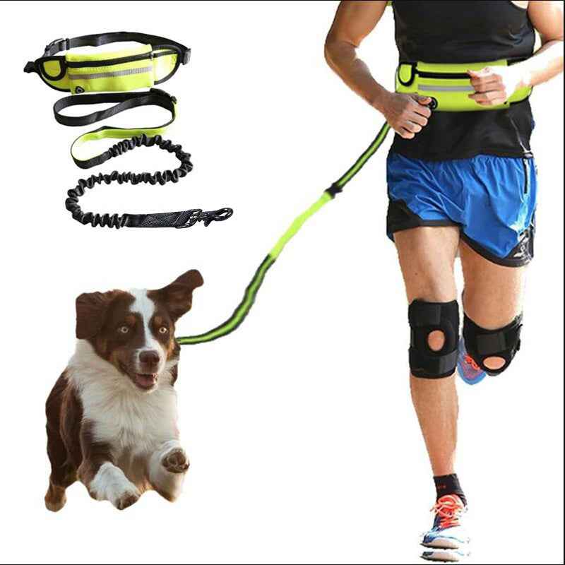 Hands-Free Dog Leash Belt - Bungee 180lbs - Amanluxe