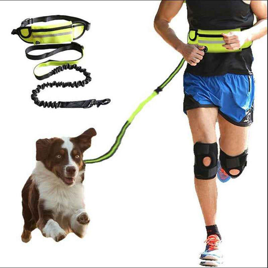 Hands-Free Dog Leash Belt - Bungee 180lbs - Amanluxe