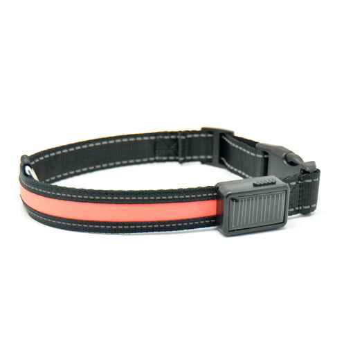 Fluorescent Dog Collar - Safety Glow - Amanluxe