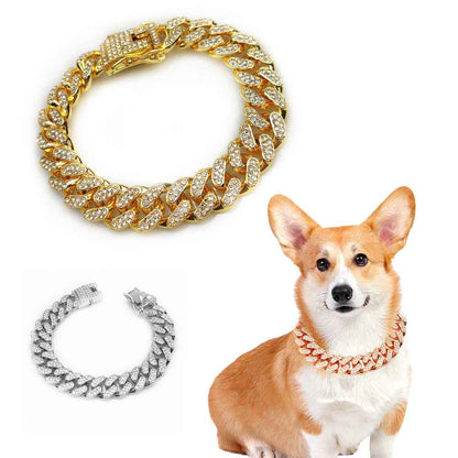 Hip Hop Pet Collar - Stylish - Amanluxe