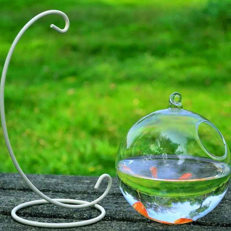 Hanging Glass Vase Fish Tank - Mini Aquarium - Amanluxe