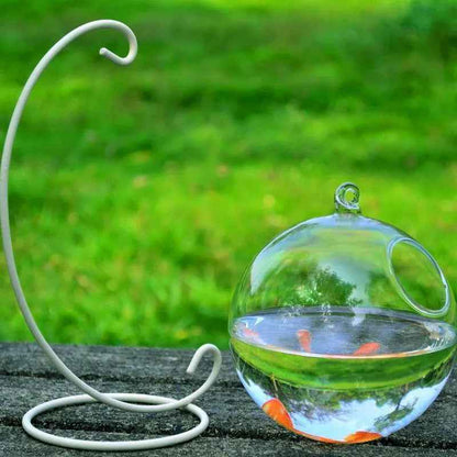 Hanging Glass Vase Fish Tank - Mini Aquarium - Amanluxe