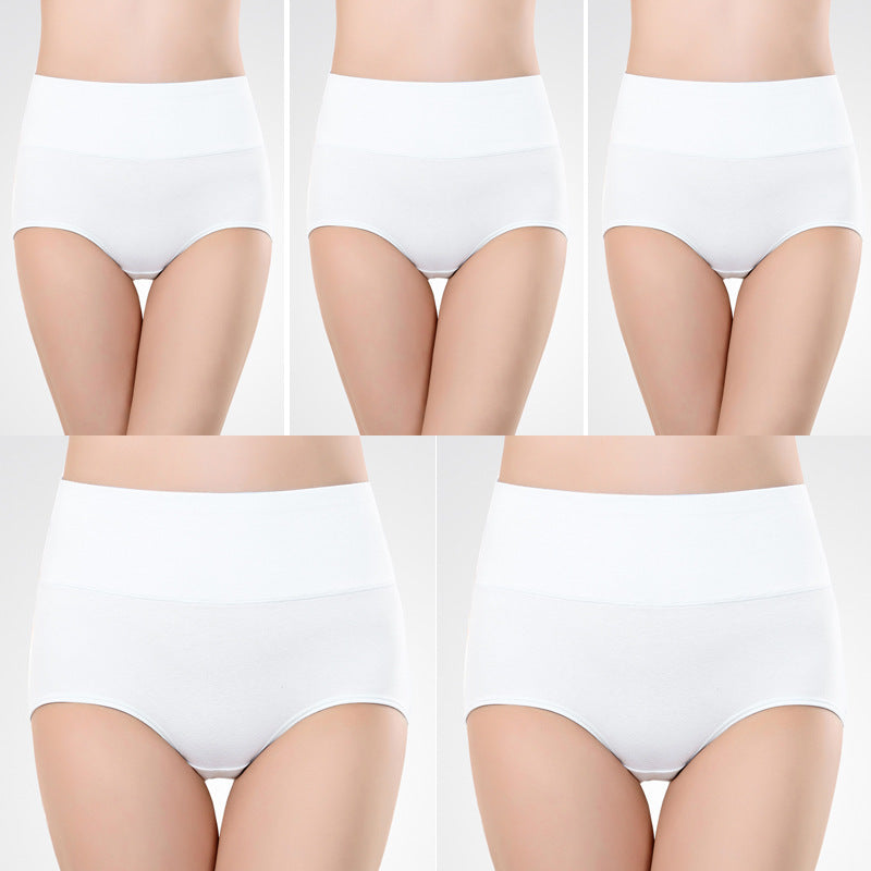 Women's Underwear High Waist Shaping Underwear Plus Size