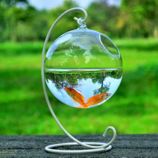 Hanging Glass Vase Fish Tank - Mini Aquarium - Amanluxe