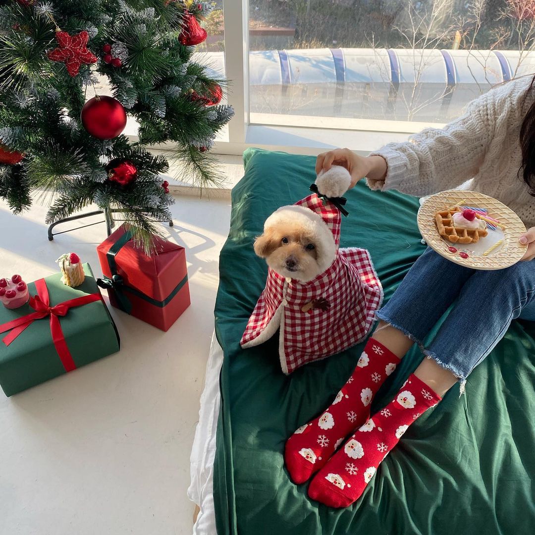 Korean Version Of The New Lovely Christmas Winter Pet Clothes Cloak