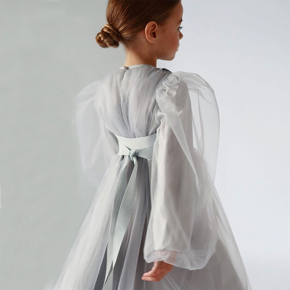 Fairy Long Sleeve Mesh Dress