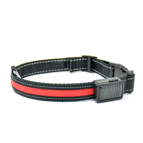 Fluorescent Dog Collar - Safety Glow - Amanluxe