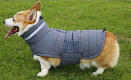 Winter Dog Vest - Waterproof Warm - Amanluxe