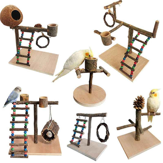 Solid Wood Parrot Training Stand - Multiple Sizes - Amanluxe