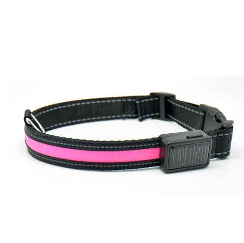 Fluorescent Dog Collar - Safety Glow - Amanluxe