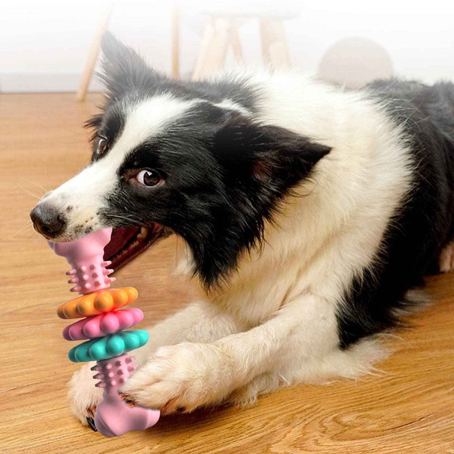 Indestructible Dog Chew Bone | Teeth-Cleaning TPR Chew Toy for Dogs - Amanluxe