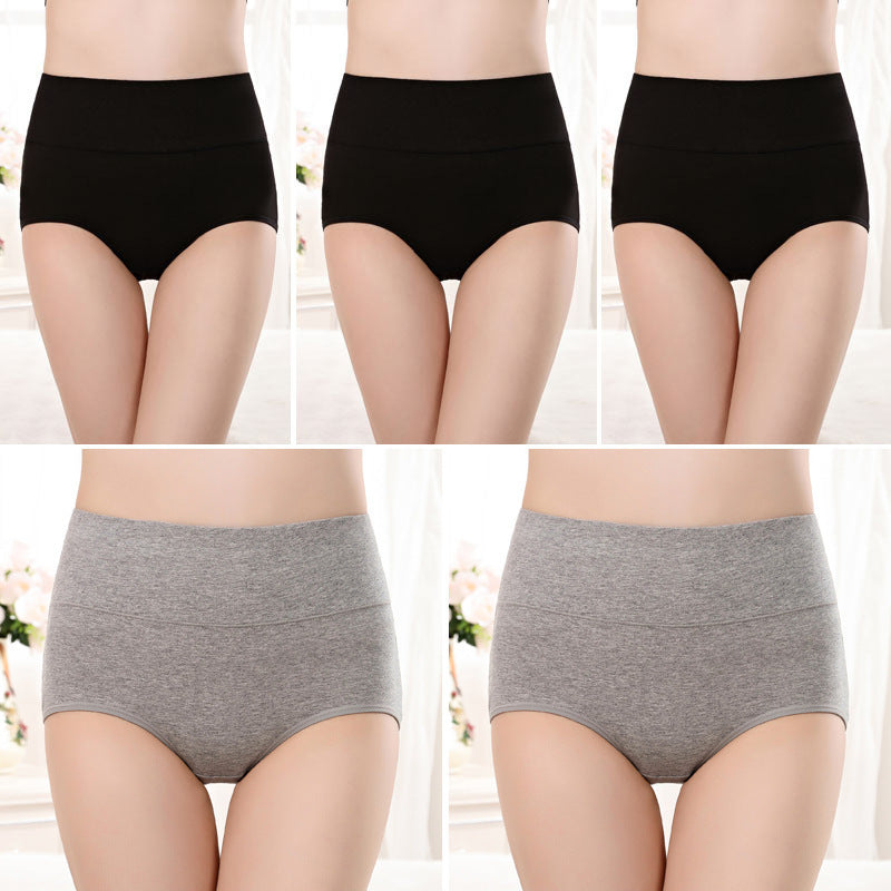 Women's Underwear High Waist Shaping Underwear Plus Size