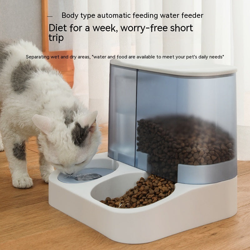 Automatic Pet Feeder - Visual Cat Bowl - Amanluxe