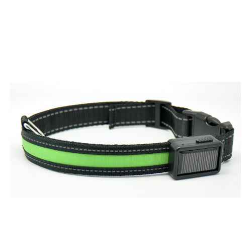 Fluorescent Dog Collar - Safety Glow - Amanluxe