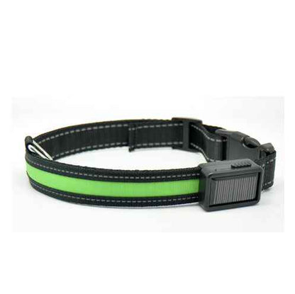 Fluorescent Dog Collar - Safety Glow - Amanluxe